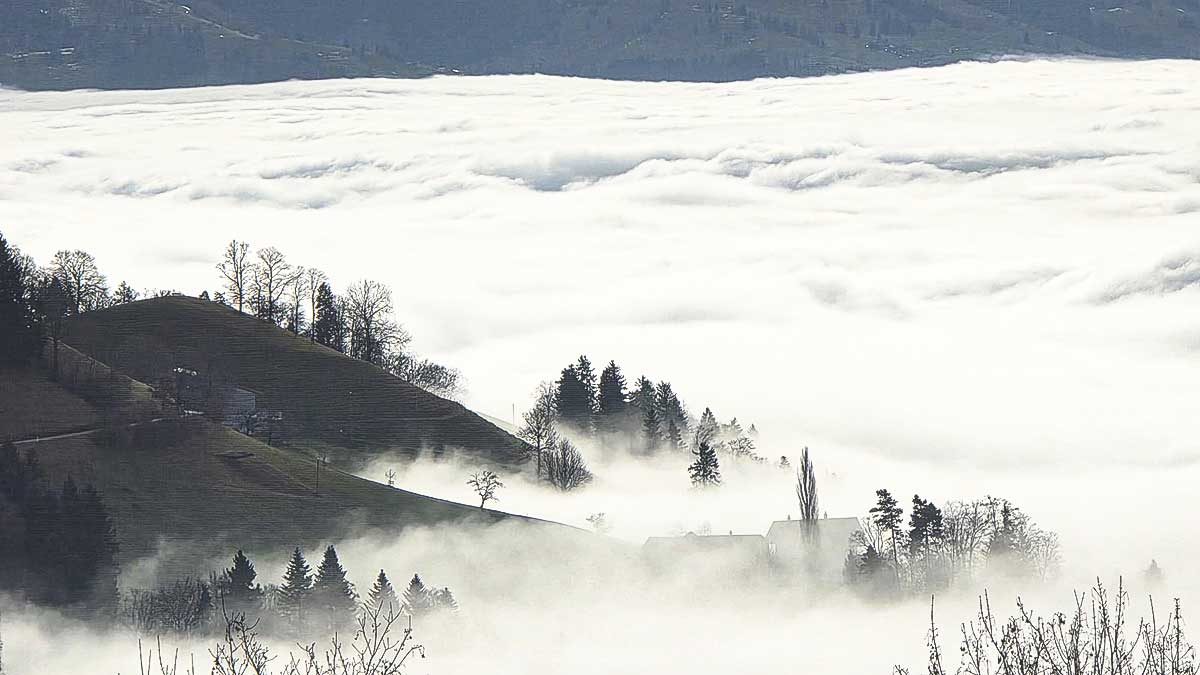 Cannabisurlaub bei Thun – Natur, Nebelmeer & Entspannung