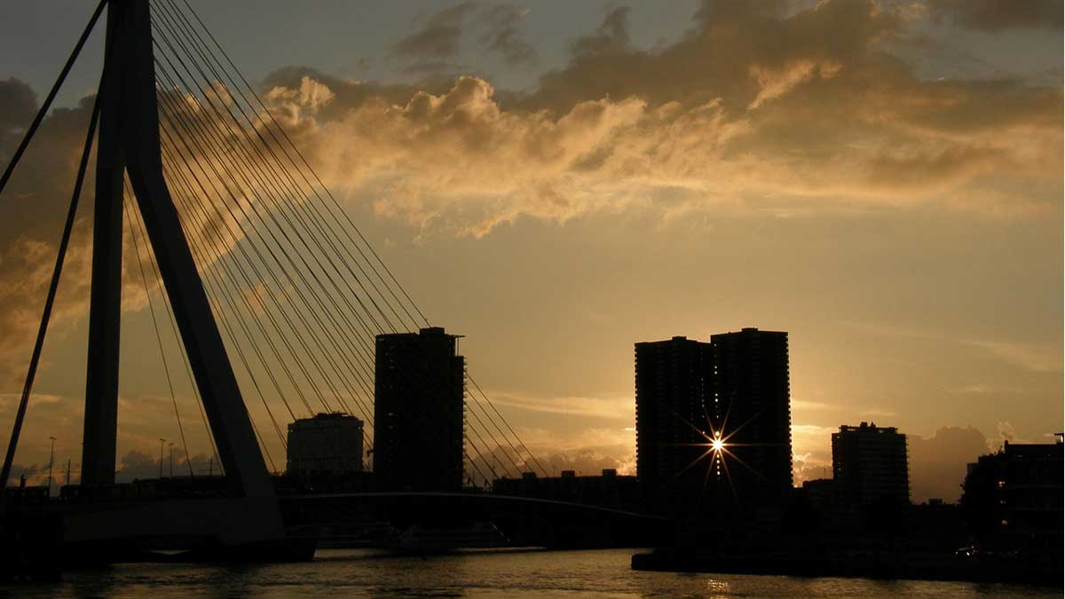 Rotterdam entdecken: Urbaner Cannabisurlaub in den Niederlanden