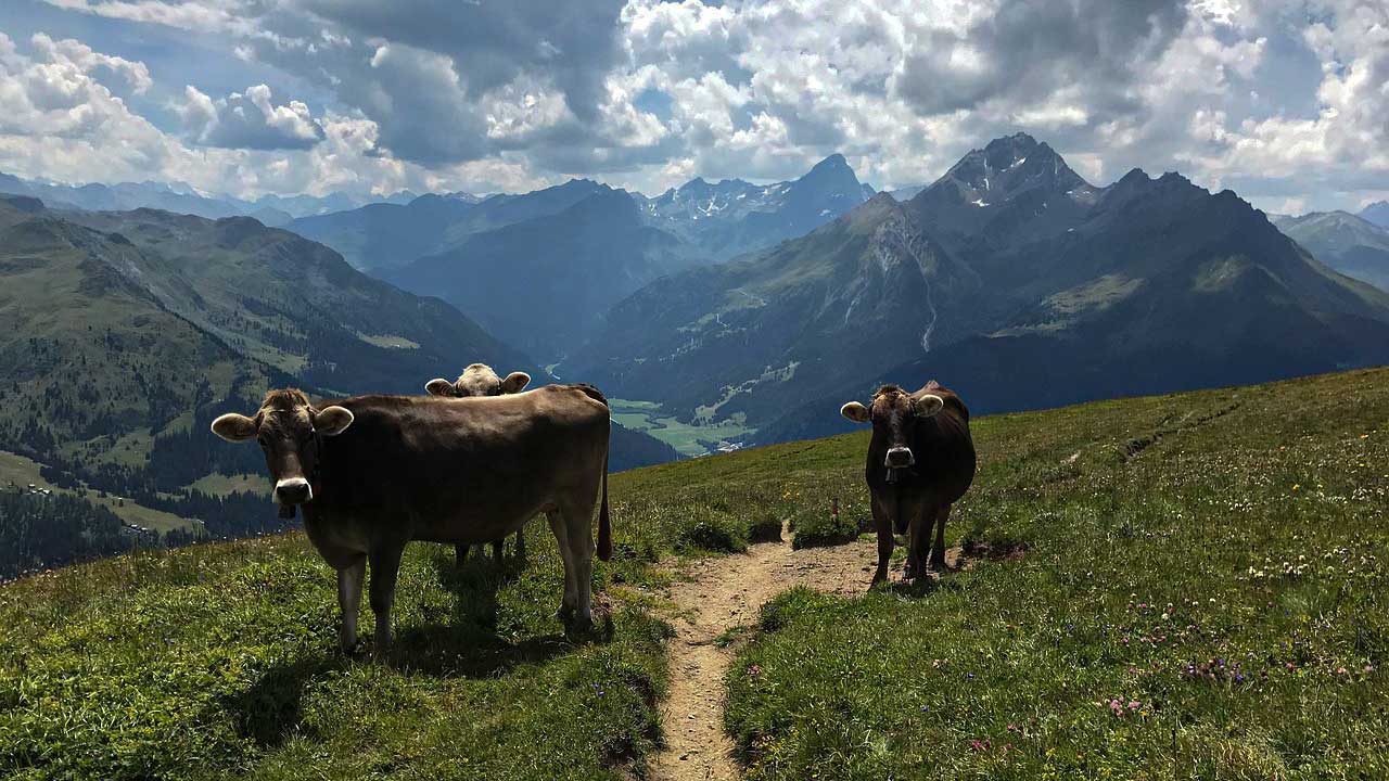 Cannabis & Natururlaub – Bewusst reisen 2026