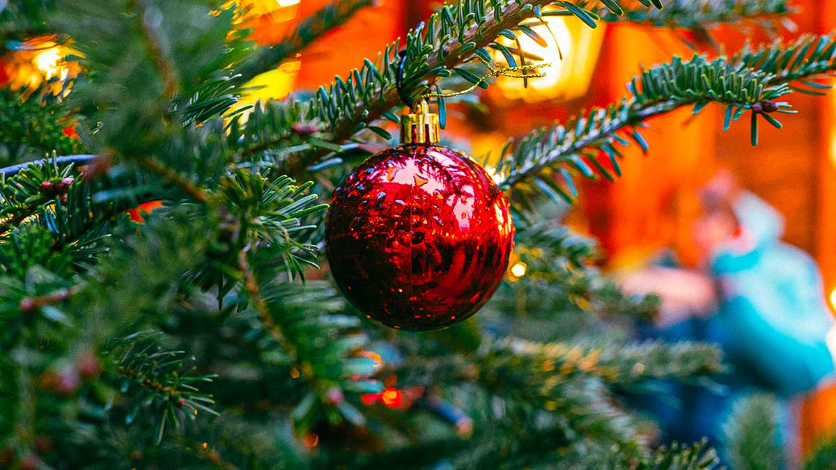 Winterzauber & Cannabis: Dein magischer Dezembertrip