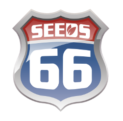 Seeds66 - Cannabis Samen