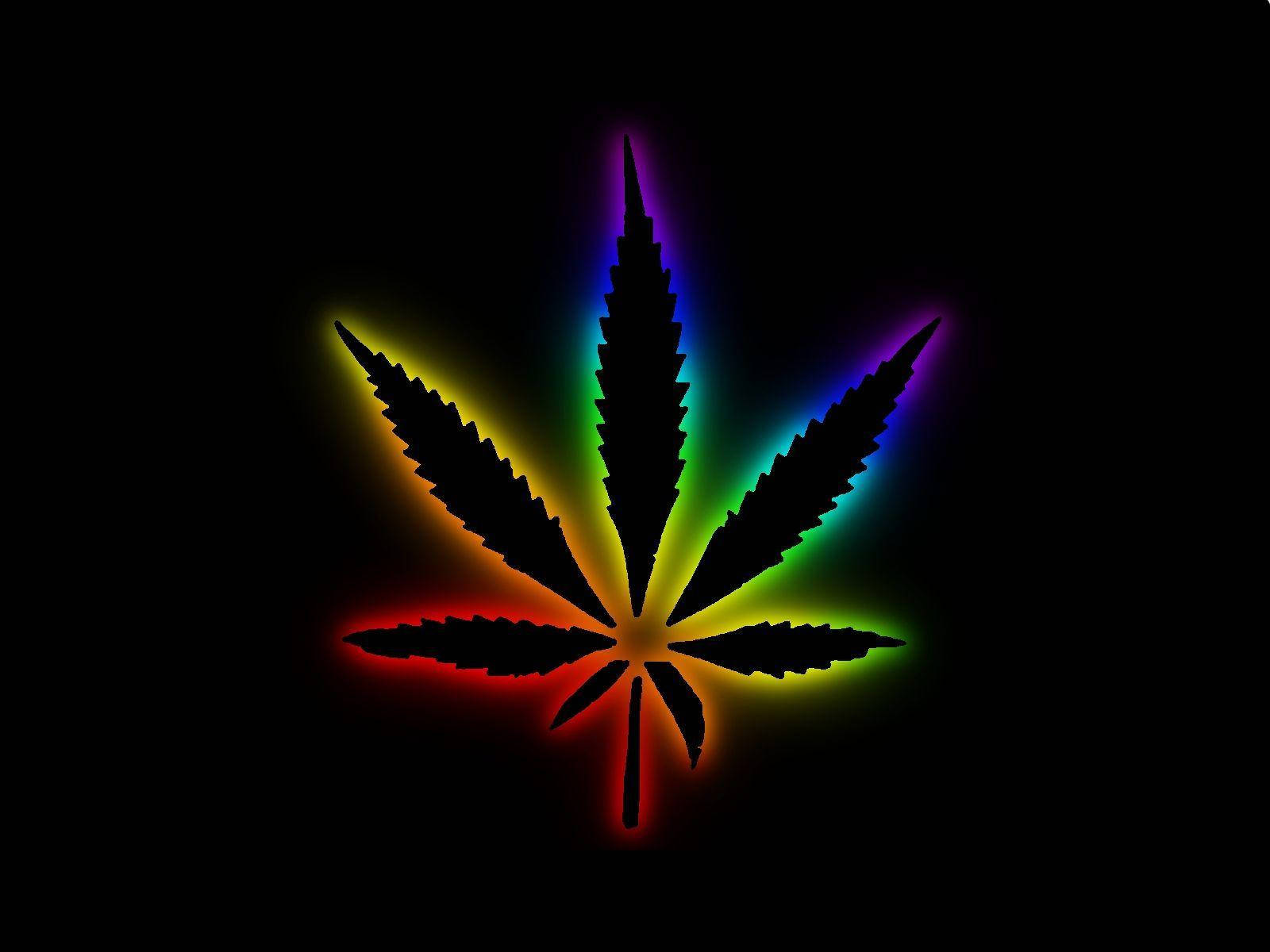 Weedseeds4u - Das beste med. Cannabis Informationsportal der Kanaren