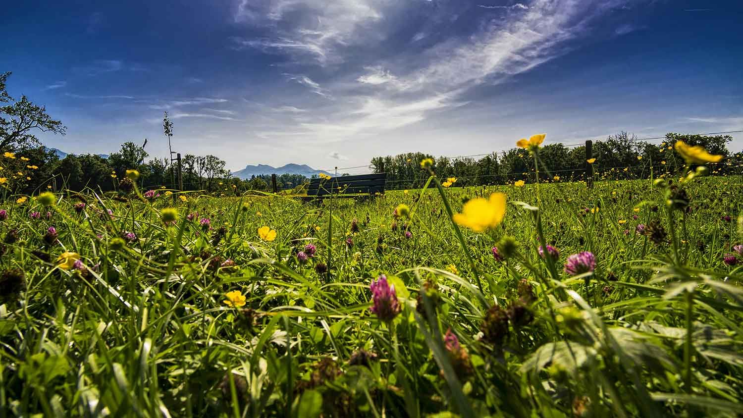 natur allgäu