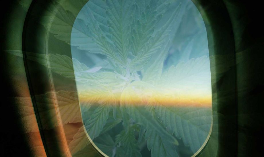 Marihuana Urlaub - Tipps zum Fliegen mit Cannabis