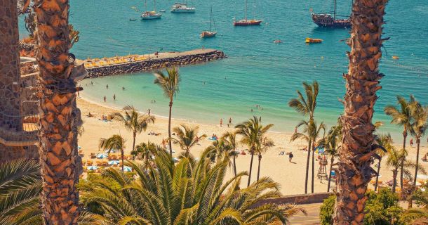 Cannabis Pässe für Teneriffa, Gran Canaria, Fuerteventura und Lanzarote.