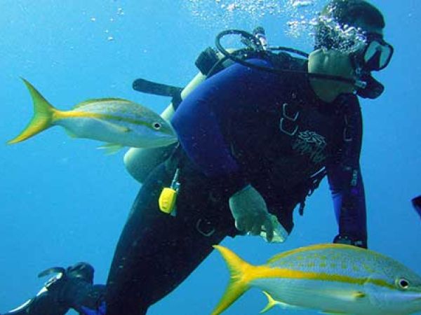 Individuelle Karibik-Reisen