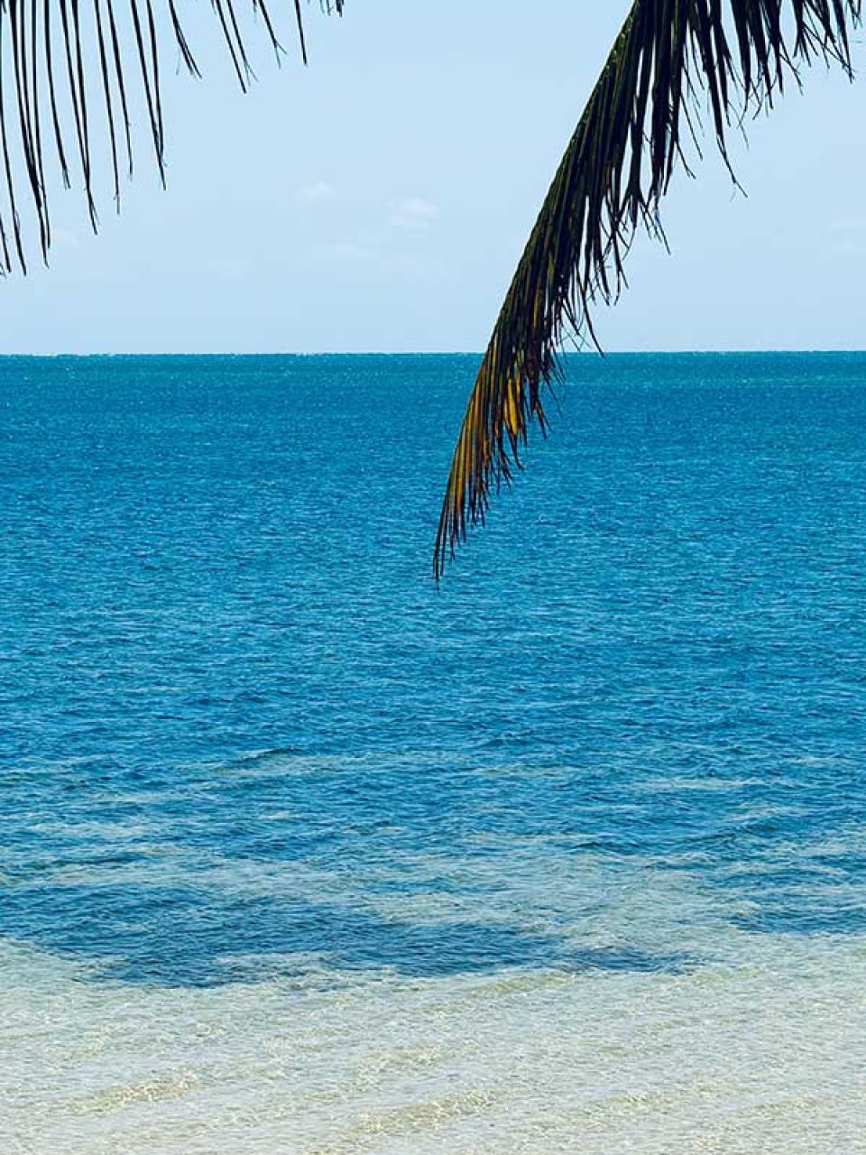 Playa Mujeres