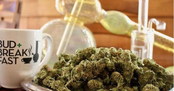 The Adagio Bed and Breakfast