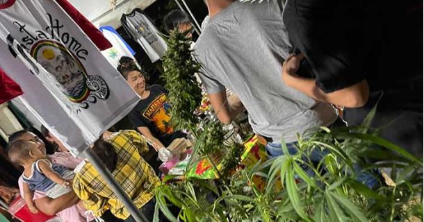 Koh Phangan – Cannabis Club & Reiseführer!