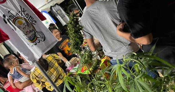Koh Phangan – Cannabis Club & Reiseführer!