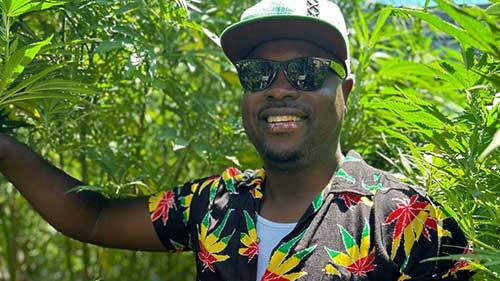 Cannabis-Tour durch eine Plantage