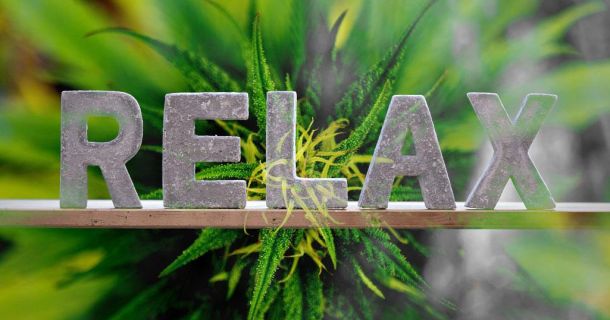 Spa- und Wellness Trend 2020: Die Vorzüge von Cannabis