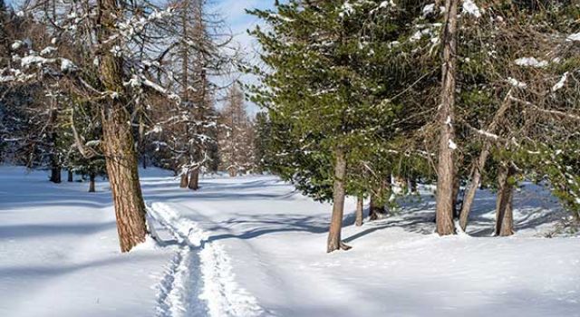 winter wanderung engerdin schweiz