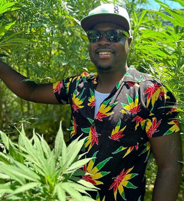 cannabis guide kuda kapstadt