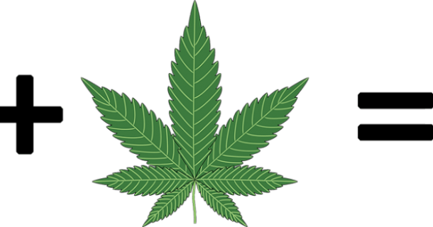 Cannabis Urlaub in Prag