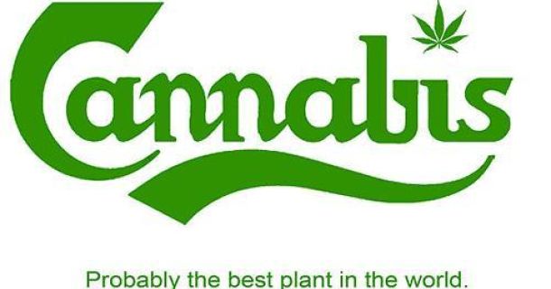 Ausbau der Cannabis-Aktivitäten in Lateinamerika und der Karibik: Chile