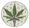 spiritual cannabis