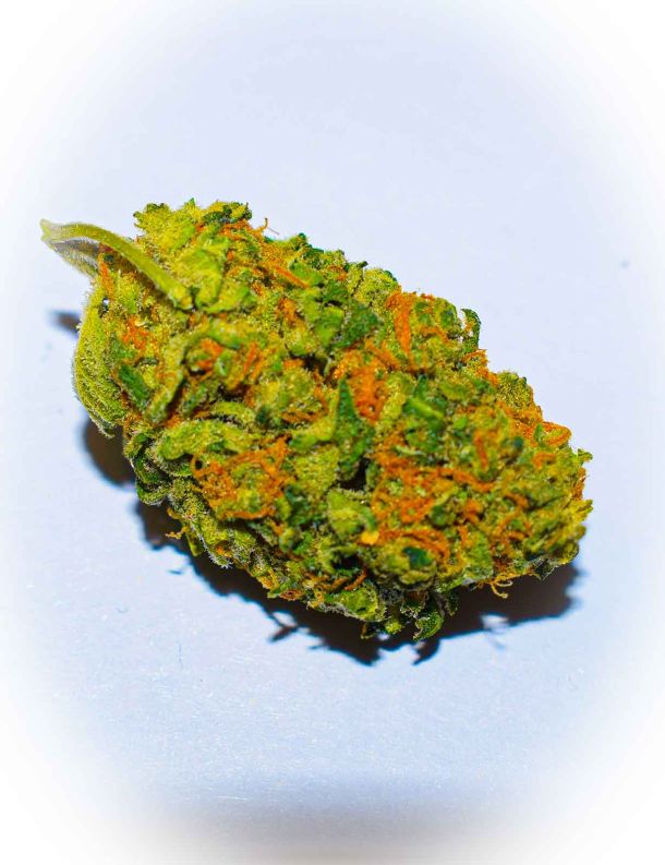 cannabis amsterdam