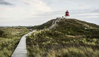 Amrum