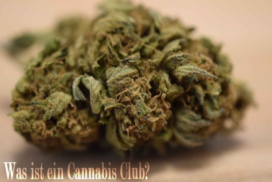 Was ist ein Cannabis Club?