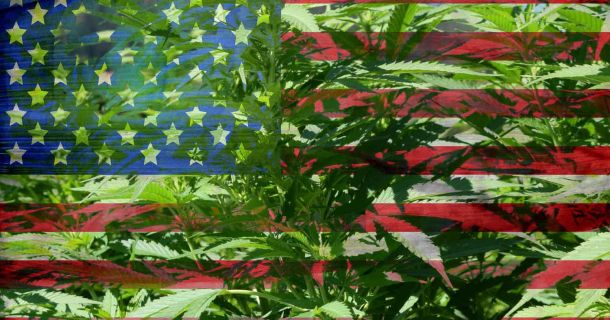 Rechtliche Grundlage in den Bundesstaaten der USA