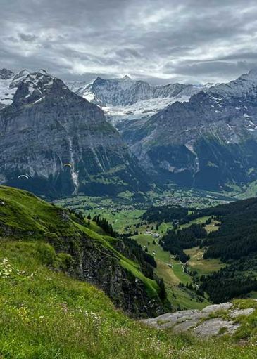 grindelwald cannabis guide tour