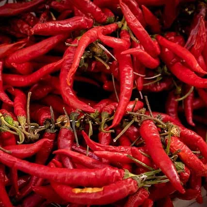 cannabis urlaub mallorca