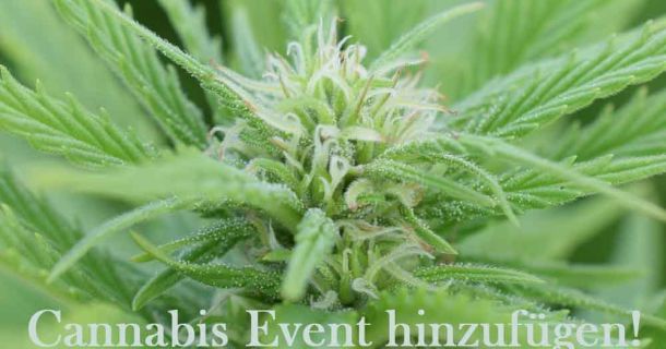Cannabis Event hinzufügen