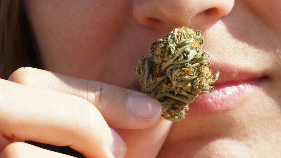 Medizinisches Cannabis in der Schweiz 2026