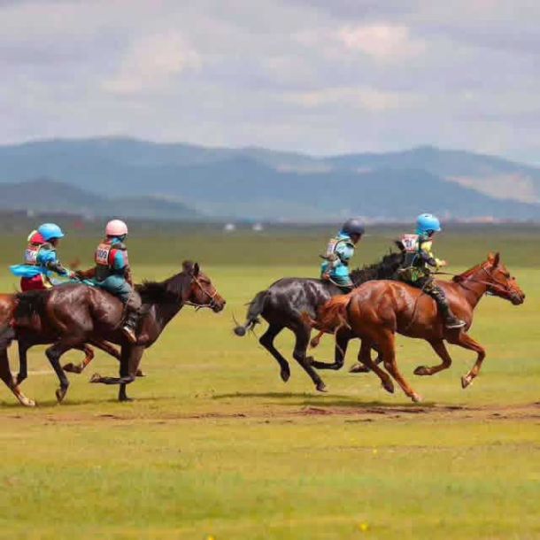 naadam fest mongolei 2026