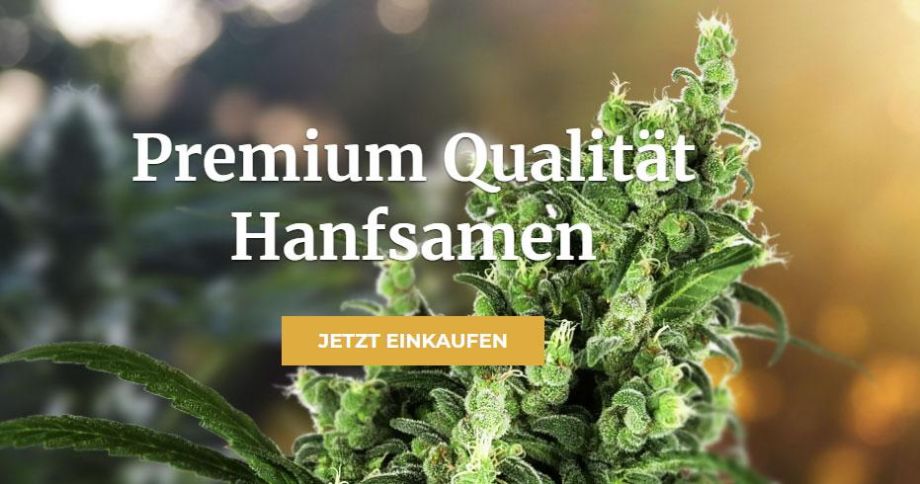 Sensi Seeds - Cannabis Einkauf für Enthusiasten