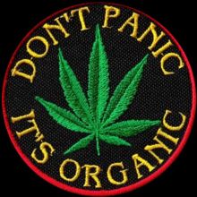 istanbul weed contact