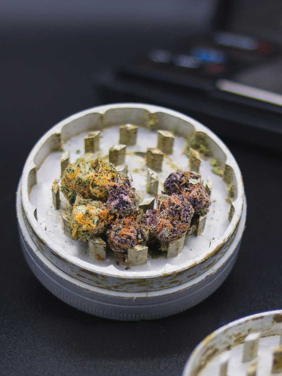 grinder