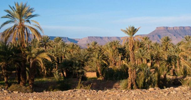 Cannabis Urlaub im Königreich Marokko  