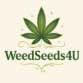 weedseeds4u teneriffa