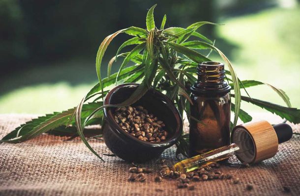 Was ist CBD Öl?  Kaufen Sie bei uns kostbares aus der Natur