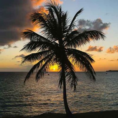 sonnenuntergang in der karibik