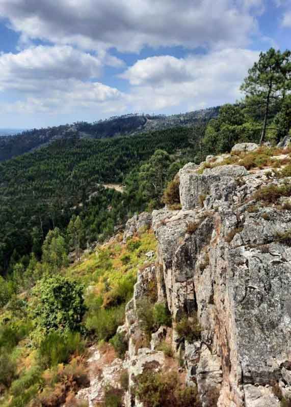 Cannabis Wandern Portugal Valongo
