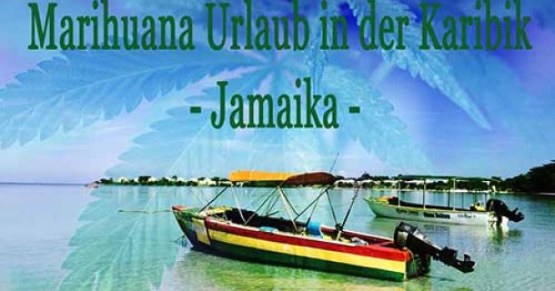 Irgendwo im Westen Jamaika High werden