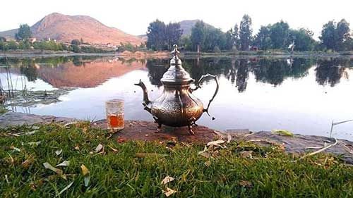 cannabis bilder gallerie