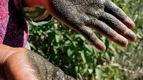 cannabis bilder gallerie marokko