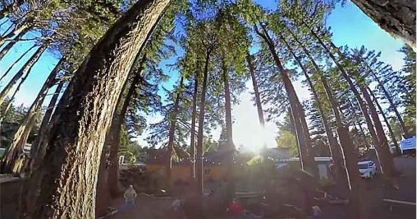 Bandon Wayside Motel + RV