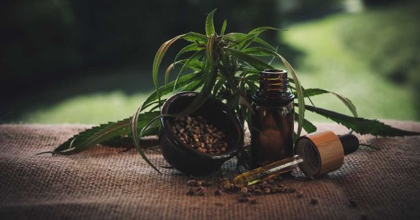 Patient informiert sich online über medizinisches Cannabis und Reisen in Europa
