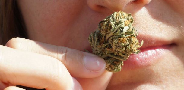 Medizinisches Cannabis in der Schweiz 2026