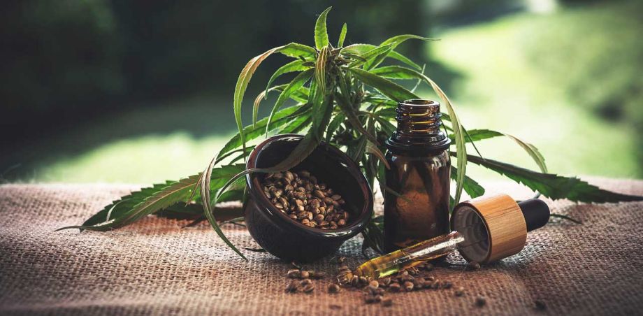 Was ist CBD Öl? Kaufen Sie bei uns kostbares aus der Natur