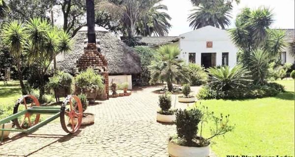 Blue Mango Lodge