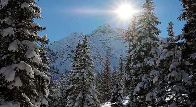 winter wanderung graubünden schweiz