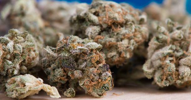 Gedanken zur Legalisierung von Cannabis