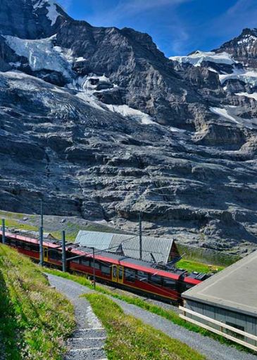 grindelwald cannabis guide tour