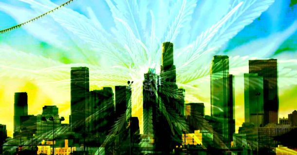 Cannabis Urlaub im Dream Hollywood